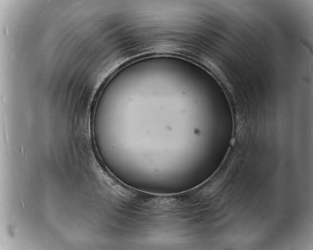 X0000102220939200808011159