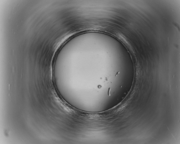 X0000102220940200808011159