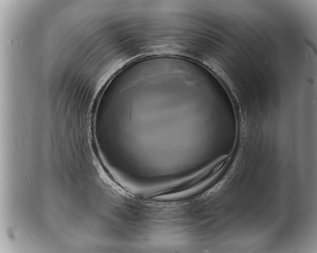 X0000102220941200808011159