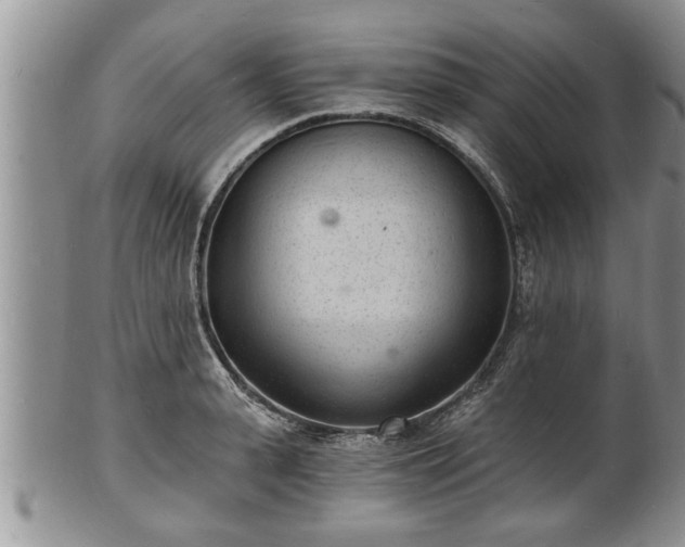 X0000102220943200808011159