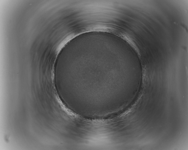 X0000102220944200808011159