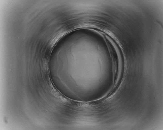 X0000102220945200808011159