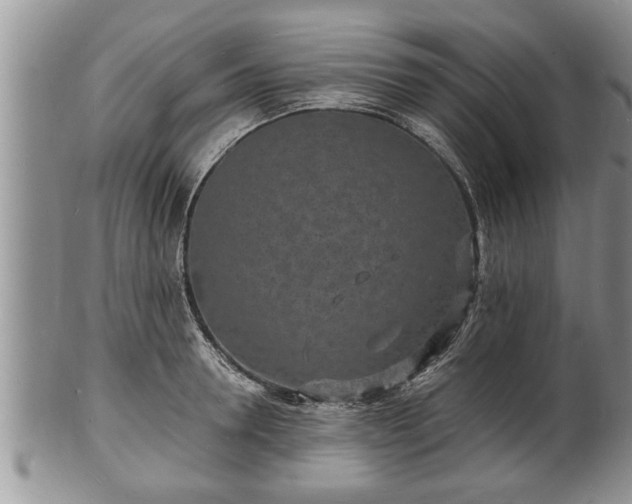 X0000102220946200808011159