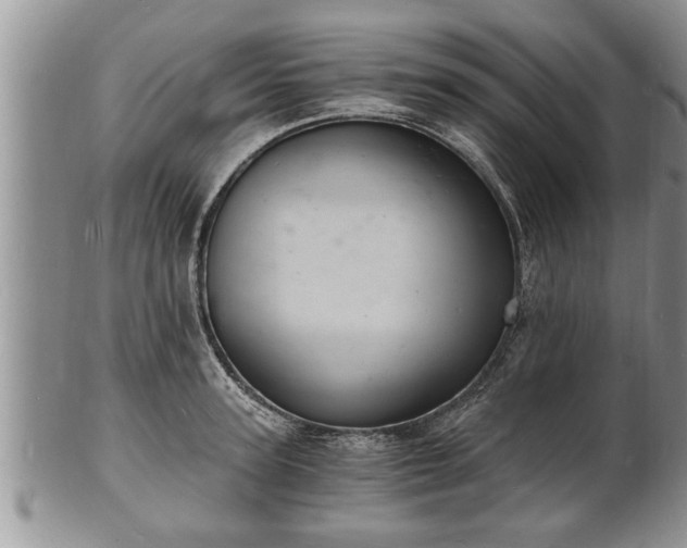 X0000102220947200808011159