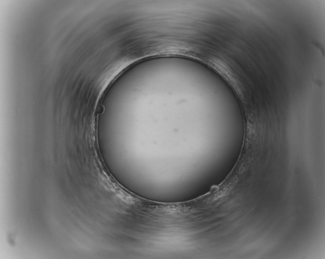 X0000102220948200808011159