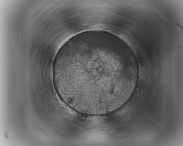 X0000102220950200808011159