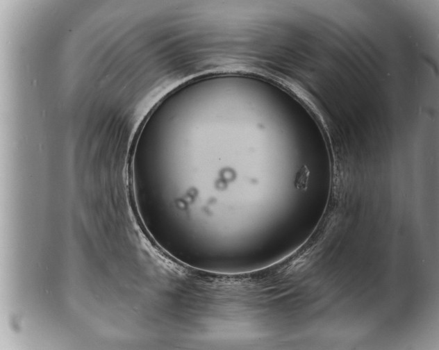 X0000102220951200808011159