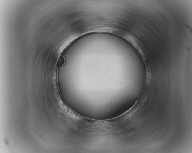 X0000102220952200808011159