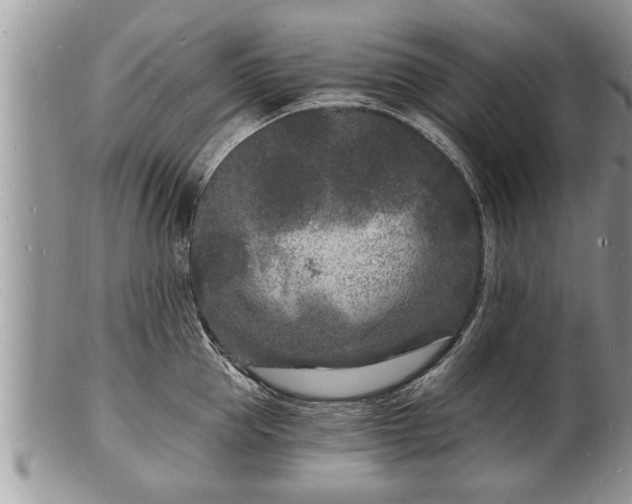 X0000102220953200808011159