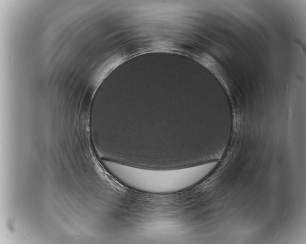 X0000102220954200808011159