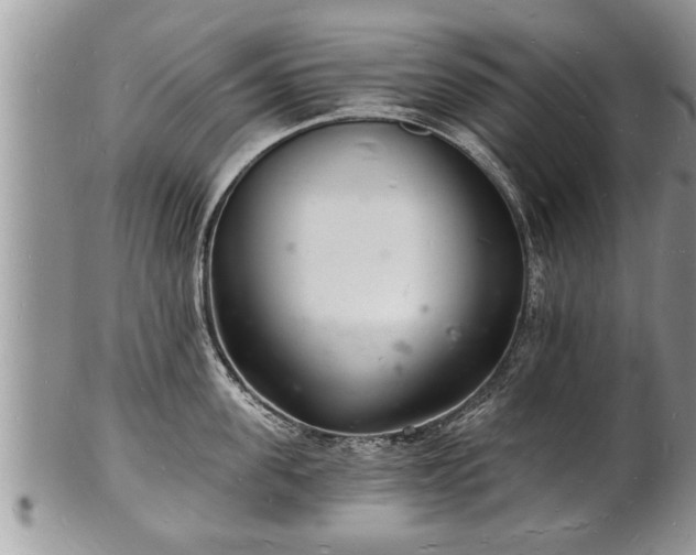 X0000102220955200808011159