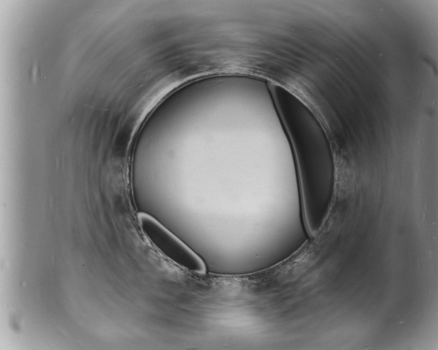 X0000102220956200808011159