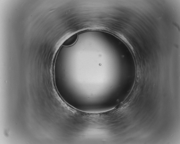 X0000102220959200808011159