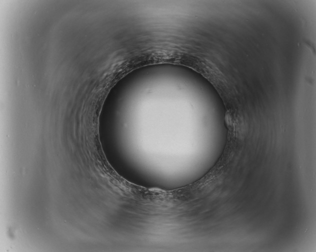 X0000102220961200808011158