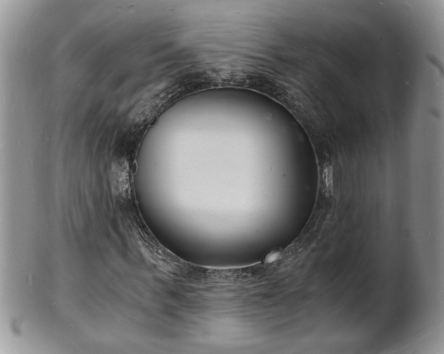 X0000102220963200808011158