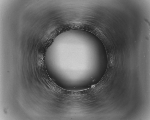 X0000102220964200808011158