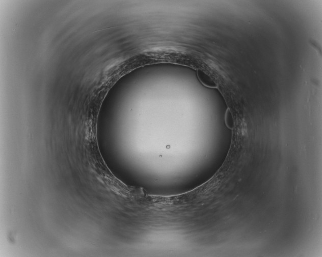 X0000102220965200808011158