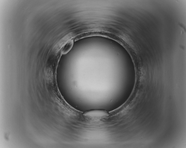 X0000102220969200808011158