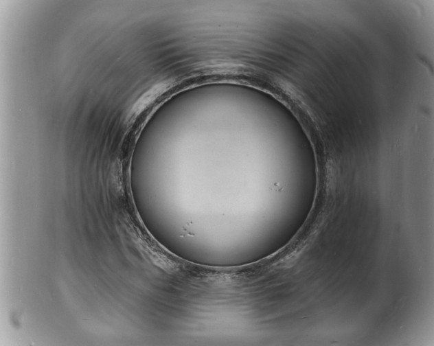 X0000102220970200808011158