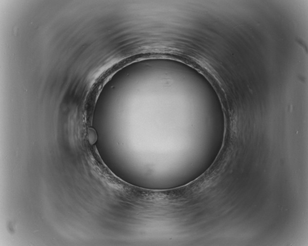 X0000102220971200808011158