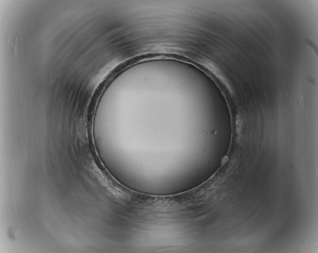 X0000102220972200808011158