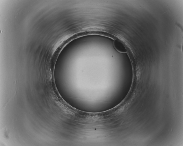 X0000102220973200808011158