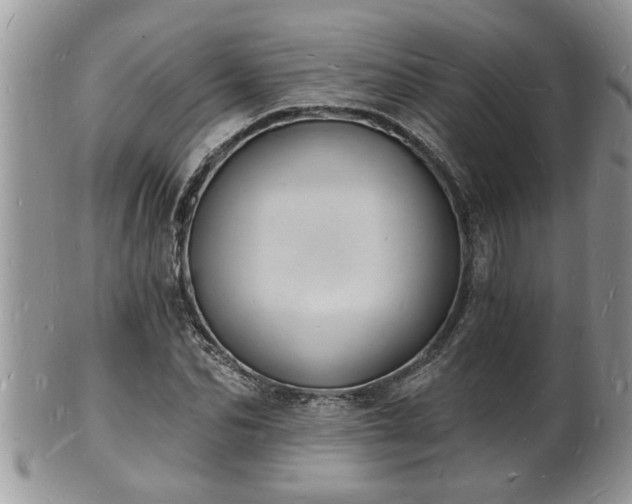 X0000102220974200808011158