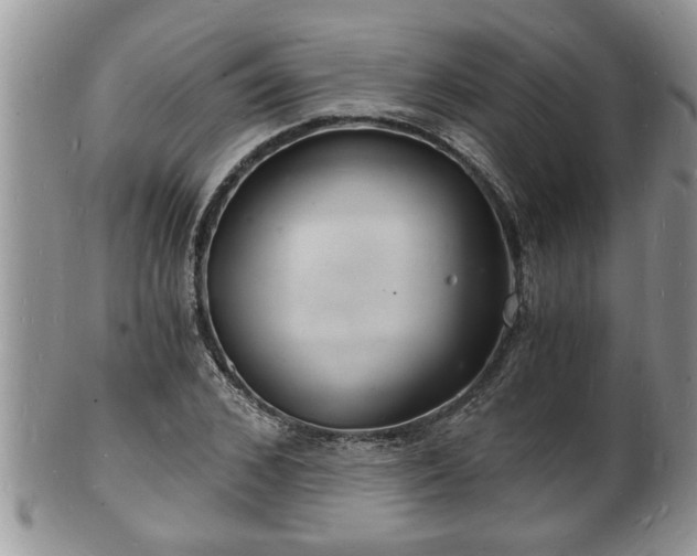 X0000102220976200808011158