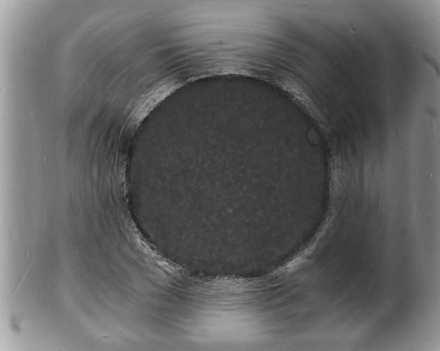 X0000102220977200808011158