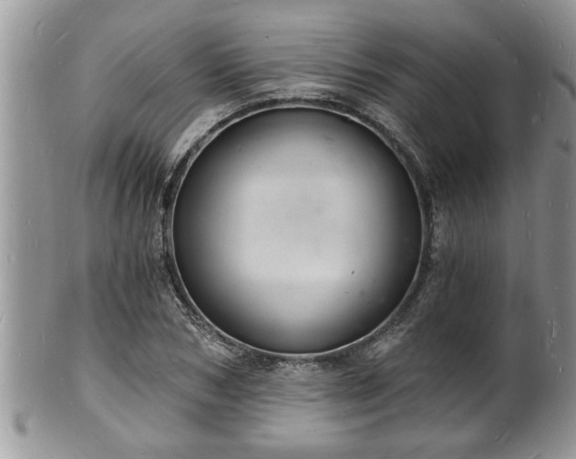 X0000102220978200808011158