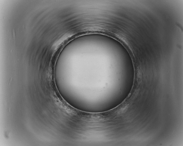 X0000102220979200808011158