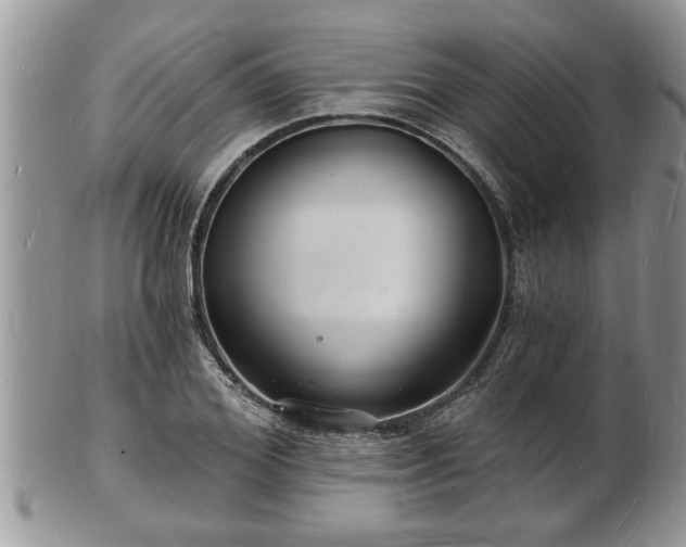 X0000102220980200808011158