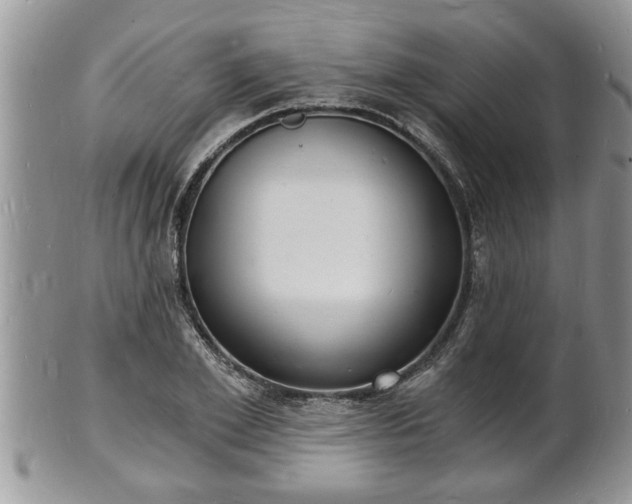 X0000102220981200808011158