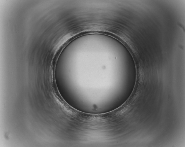 X0000102220982200808011158