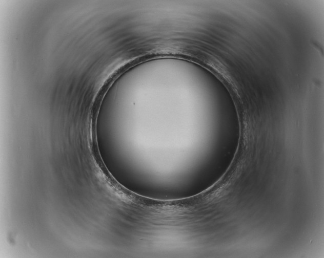 X0000102220984200808011158