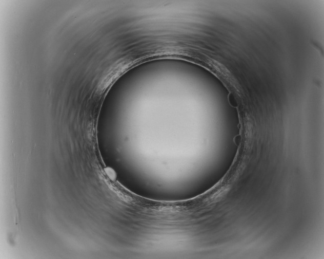 X0000102220985200808011158