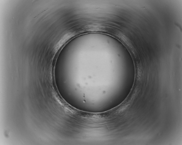 X0000102220986200808011158