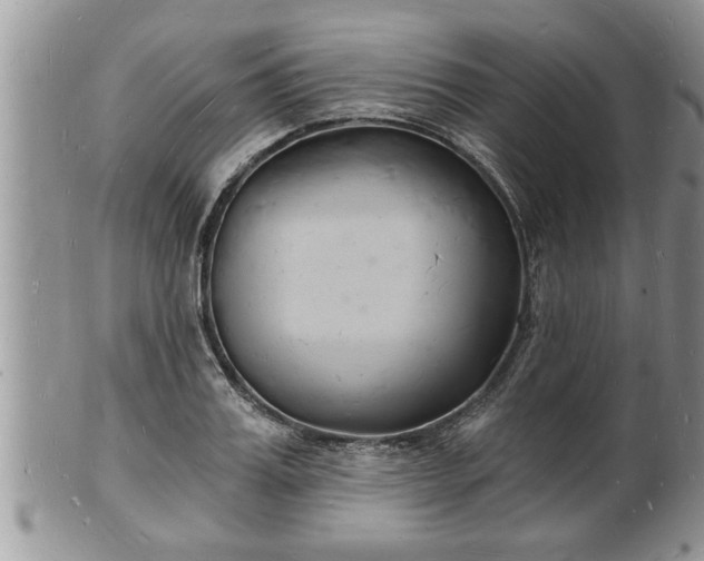 X0000102220987200808011158