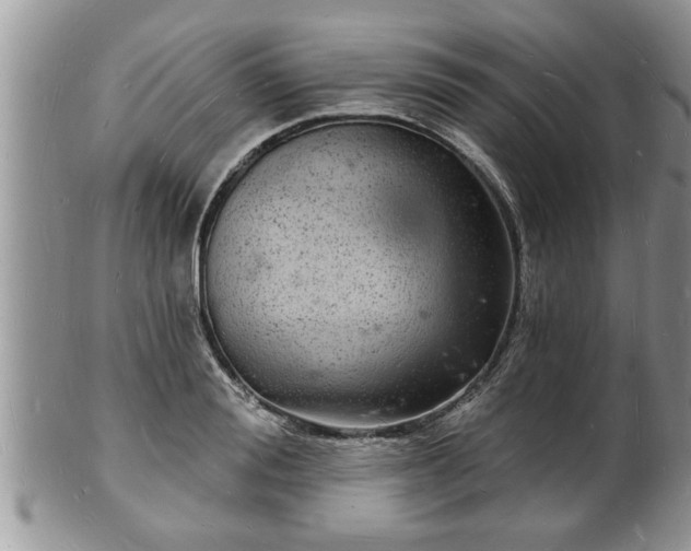 X0000102220988200808011158