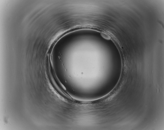 X0000102220989200808011158