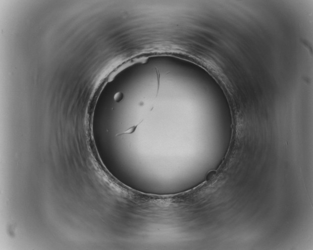 X0000102220990200808011158