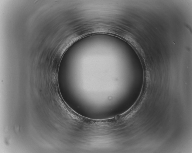 X0000102220993200808011158