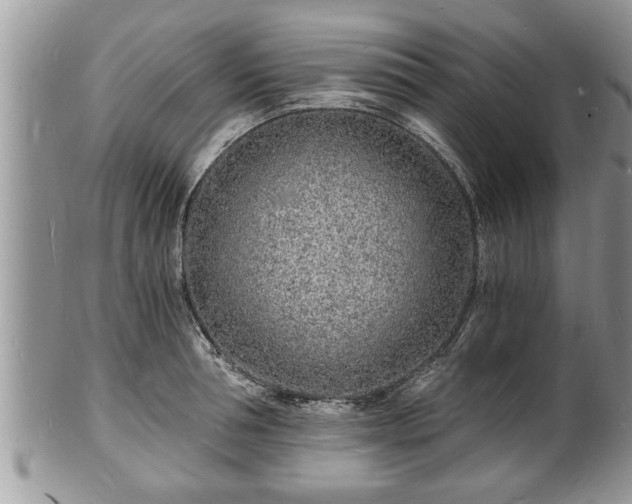 X0000102220994200808011158