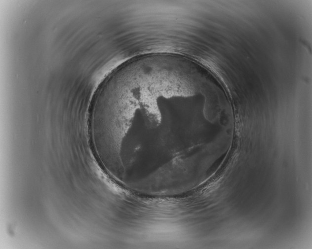 X0000102220995200808011158