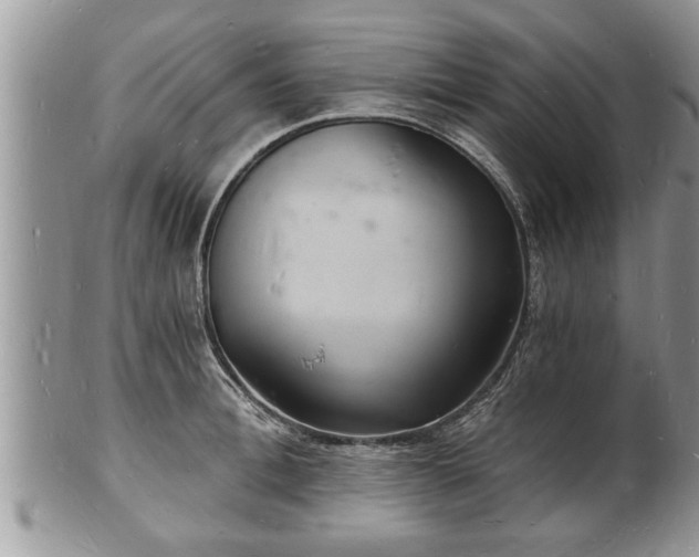 X0000102220996200808011158