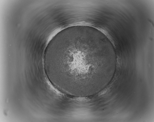 X0000102220998200808011158