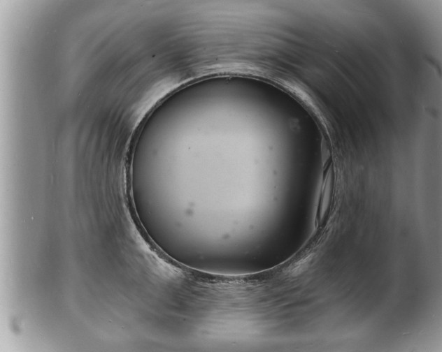 X0000102220999200808011158