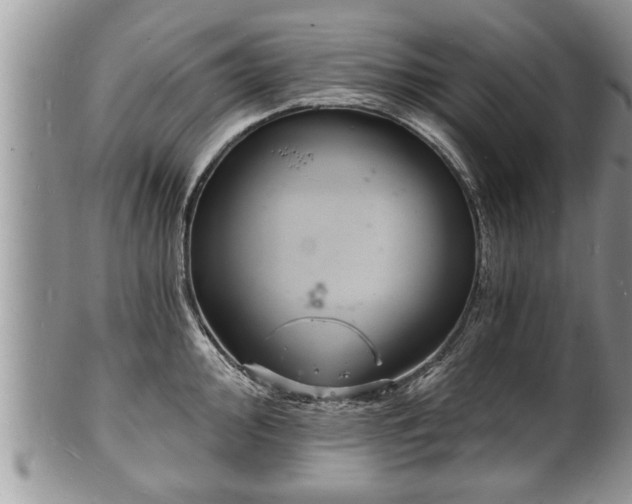 X0000102221000200808011158