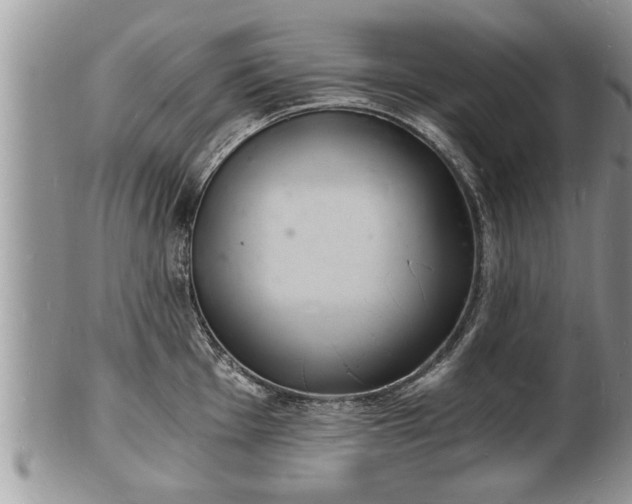 X0000102221001200808011158