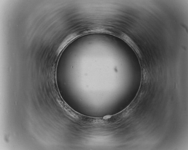 X0000102221002200808011158